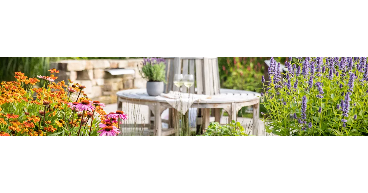 About Whitegates Nursery - Whitegates Nursery