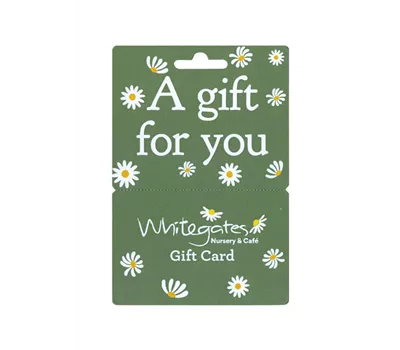 Gift Card - Sage  Gift Card - Sage