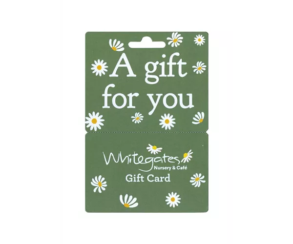 Gift Card - Sage  Gift Card - Sage