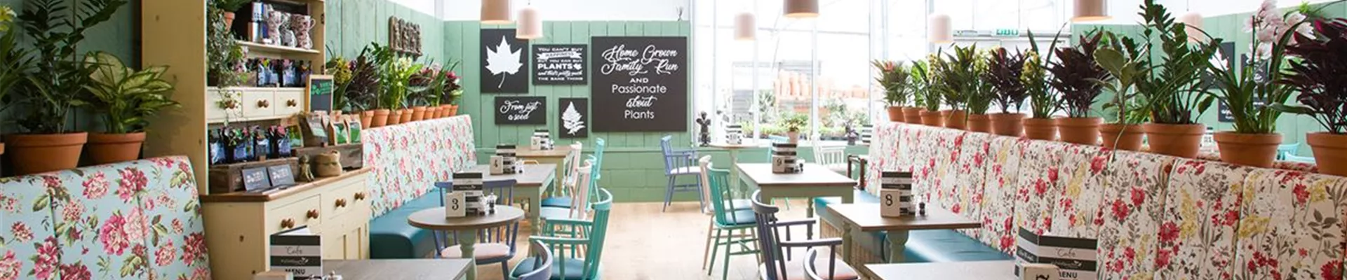 IMG_9270-6-358-1793-576 IMG_9270-6-358-1793-576