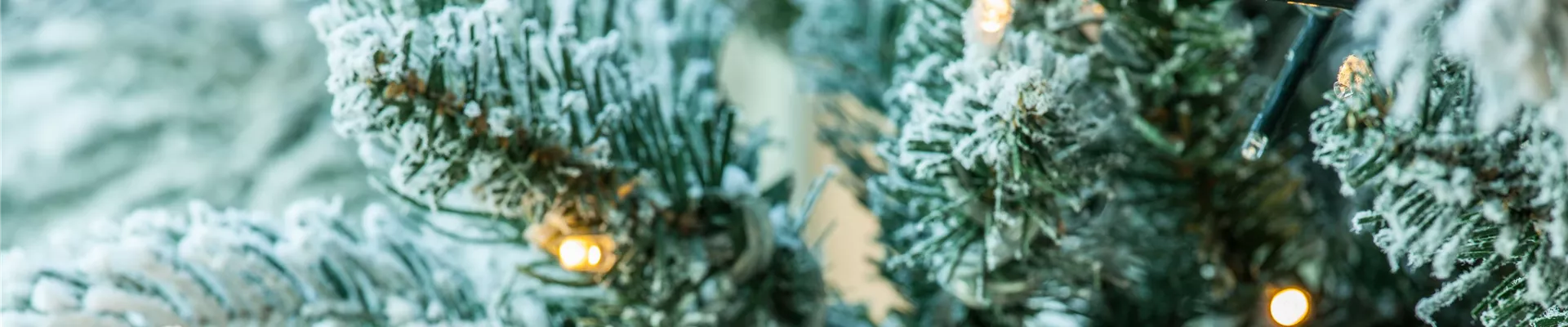 Lights on the Christmas tree Lights on the Christmas tree