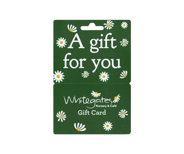 Gift Card - Dark Green  Gift Card - Dark Green