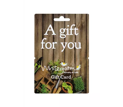 Gift Card - Wood  Gift Card - Wood