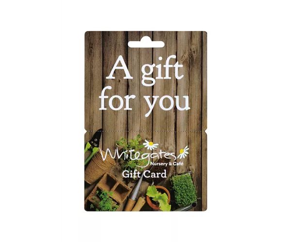 Gift Card - Wood  Gift Card - Wood
