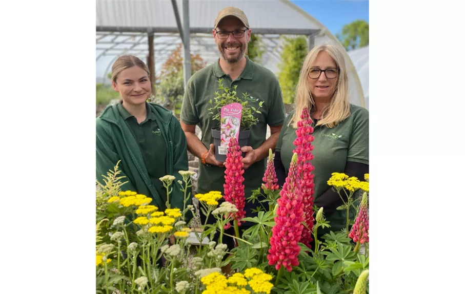 Plant Team.png