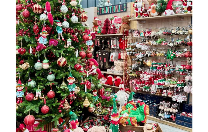 Traditional Website.png