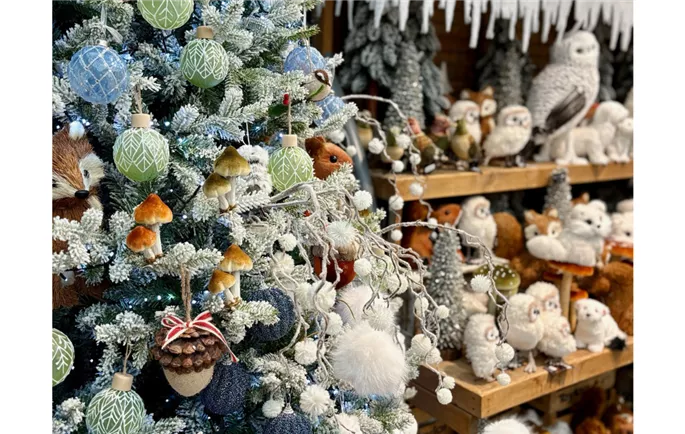 Winter wonderland website.png