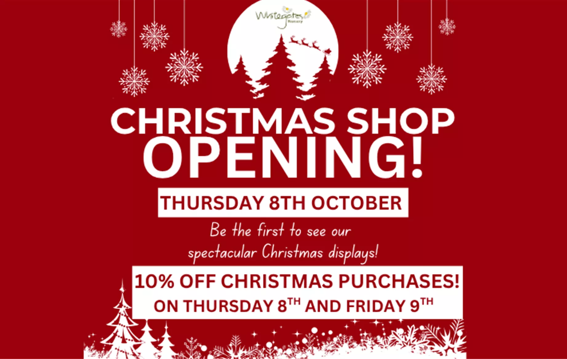 Copy of Christmas Shop Opening.png