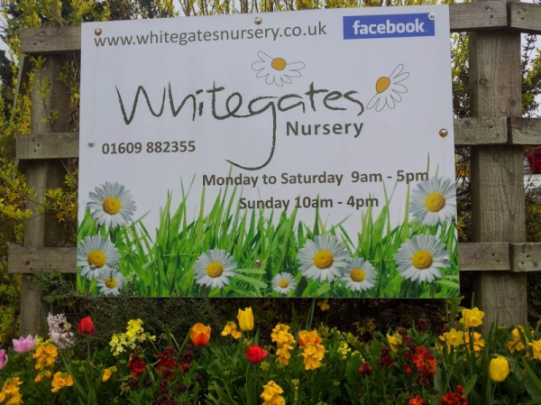 Whitegates Nursery