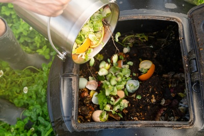 How to compost waste into valuable nutrients for your plants